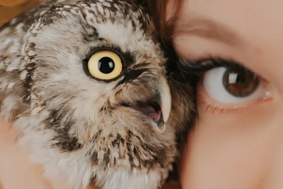 MR Fortune Casino Support